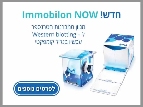 Immobilon Now