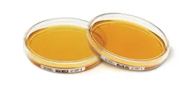 Tryptic Soy Agar - ICR 30ml 03075E-120P