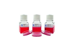 FREY Liquid Medium acc. EP 397100-1P