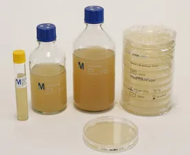 Plate Count Agar 200ml 508200-6P