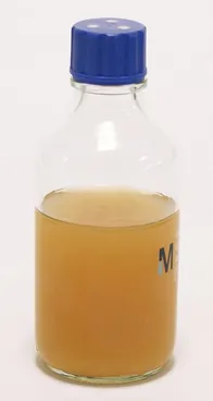 Orange Serum Agar 540200-6P