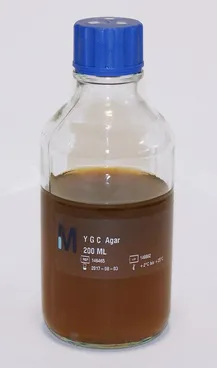 Yeast Glucose Cm Agar 545200-6P