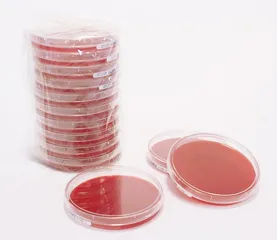 Columbia Blood Agar Pharm. 109PH-20P