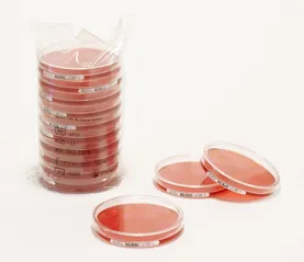 ReadyPlate XLD Agar ISO 6579 20PC