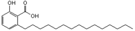 Anacardic Acid - CAS 16611-84-0 - Calbiochem