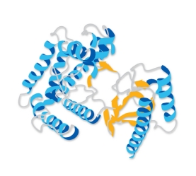 Anthrax Lethal Factor Protease Substrate III, Fluorogenic - Calbiochem