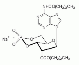 Adenosine 3?,5?-cyclic Monophosphate, N?,O<sup>2?</sup>-Dibutyryl-, Sodium Salt - CAS 16980-89-5 - C