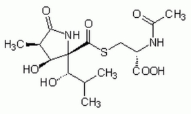 Lactacystin, Synthetic - CAS 1258004-00-0 - Calbiochem