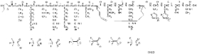 Notch Transcription Factor Inhibitor, SAHM1 - Calbiochem