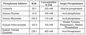 Phosphatase Inhibitor Cocktail Set II