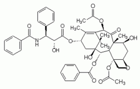 Paclitaxel, <i>Taxus </i>sp<i>.</i> - CAS 33069-62-4 - Calbiochem