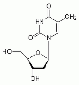 Thymidine - CAS 50-89-5 - Calbiochem