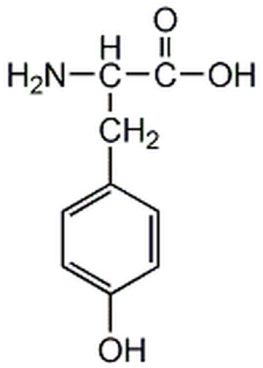 L-Tyrosine, Free Base - CAS 60-18-4 - Calbiochem