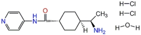 Y-27632 - CAS 146986-50-7 - Calbiochem