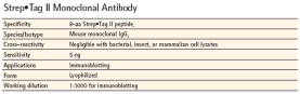 Strep•Tag<sup>®</sup> II Monoclonal Antibody