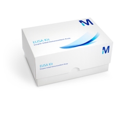 Rat/Mouse Insulin ELISA Kit