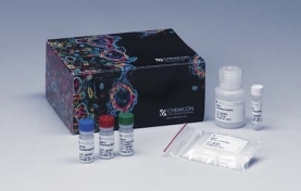 APOPTAG  PEROXIDASE DET. KIT