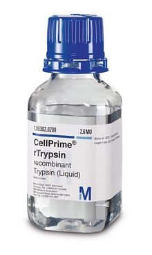 CellPrime® rTrypsin recombinant Trypsin (powder)