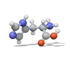 Aprotinin, Bovine Lung, Crystalline