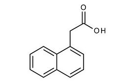 1-Naphthylacetic acid for synthesis