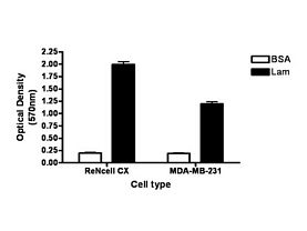 QCM Laminin Migration Assay (24-well, colorimetric)