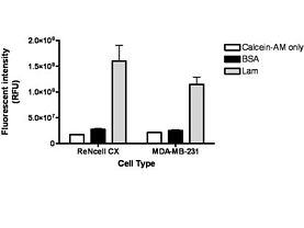 QCM™ Laminin Migration Assay (24-we