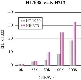 QCM Chemotaxis Cell Migration Assay, 24-well (8 ?m), fluorimetric