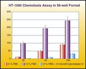 QCM Chemotaxis Cell Migration Assay, 96-well (8 ?m), fluorimetric