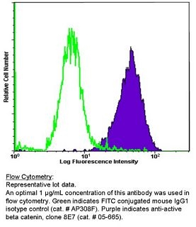 Anti-Active-β-Catenin (Anti-ABC) Antibody, clone 8E7