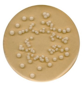 Potato dextrose agar for microbiology