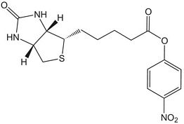 Biotin-ONp